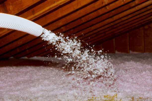 Best Specialized Insulation Services in Dekal, IL