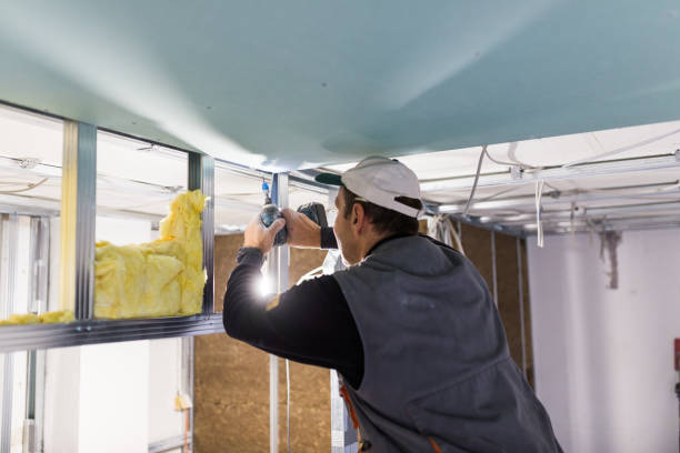 Best Insulation Maintenance and Repair in Dekal, IL
