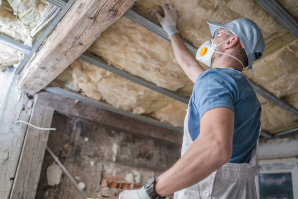 Best Commercial Insulation in Dekal, IL